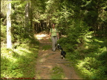 Hundeurlaub_22_k